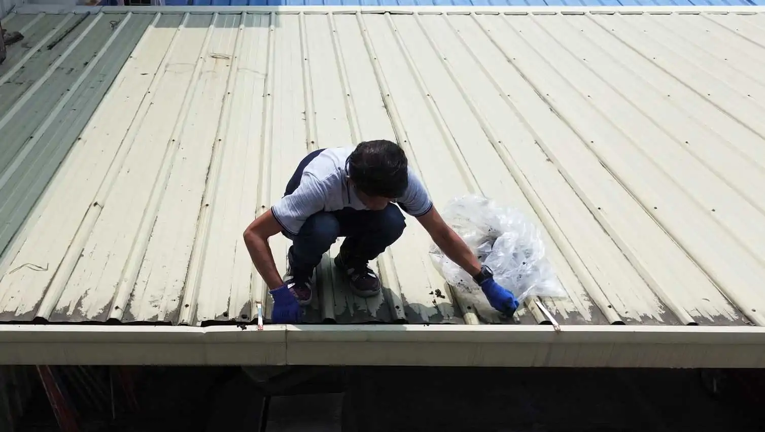 Roof cleaning