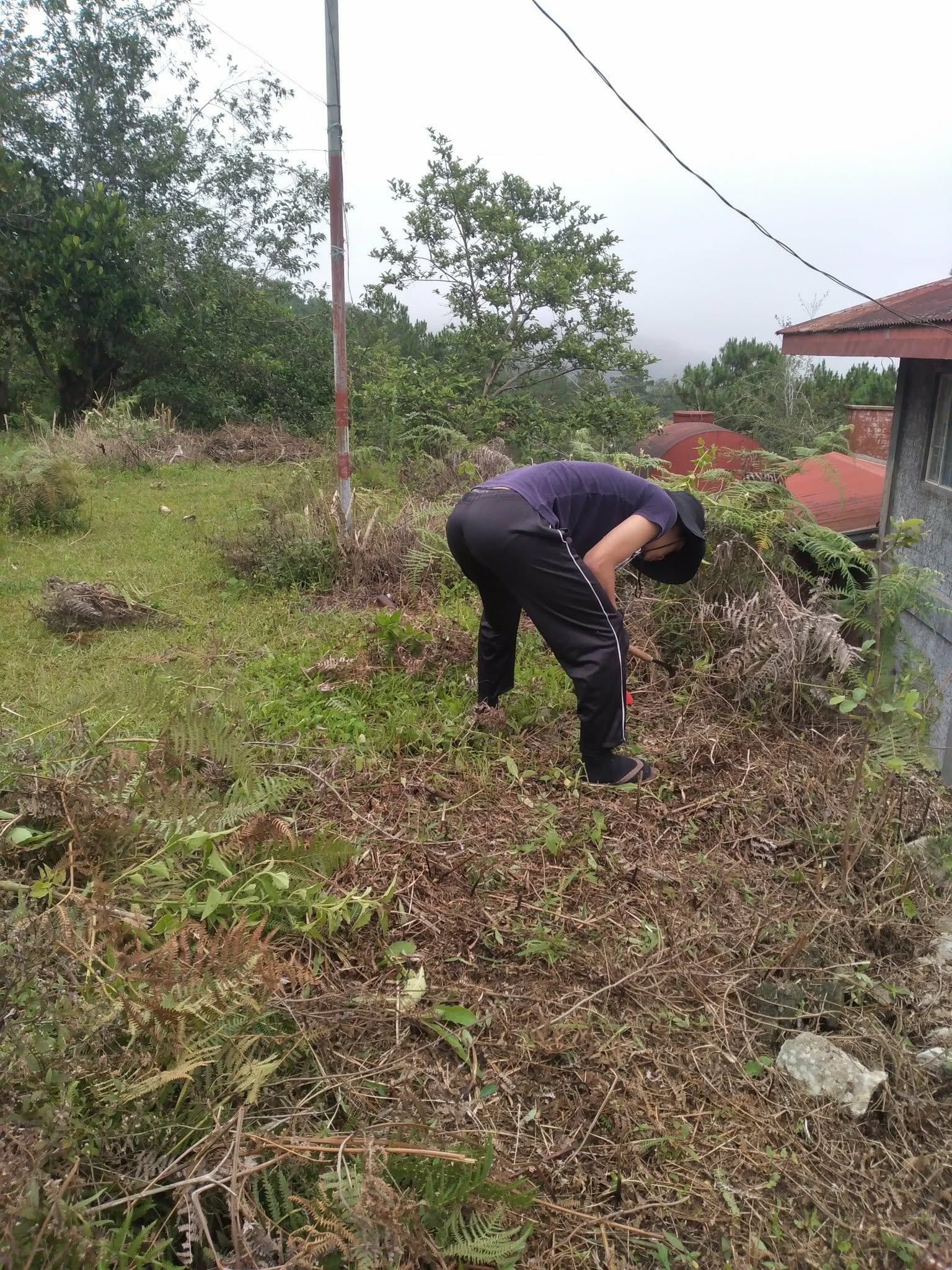 Garden Cleaning and Yard Maintenance